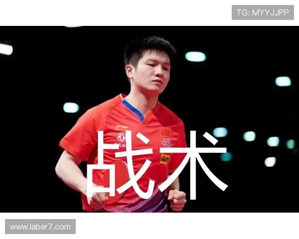 成都排球队战术表现深度解析与大满贯点评 成都排球队战术表现深度解析与大满贯点评